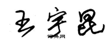 朱錫榮王宇昆草書個性簽名怎么寫