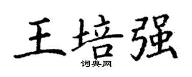 丁謙王培強楷書個性簽名怎么寫