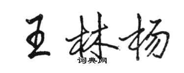 駱恆光王林楊行書個性簽名怎么寫