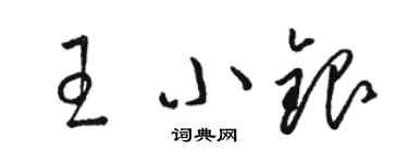 駱恆光王小銀草書個性簽名怎么寫
