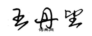 朱錫榮王丹望草書個性簽名怎么寫