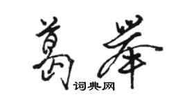 駱恆光葛舉行書個性簽名怎么寫