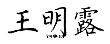 丁謙王明露楷書個性簽名怎么寫