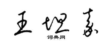 梁錦英王坦嘉草書個性簽名怎么寫