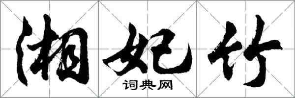 胡問遂湘妃竹行書怎么寫