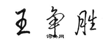 駱恆光王爭勝行書個性簽名怎么寫