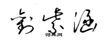 梁錦英劉紫涵草書個性簽名怎么寫