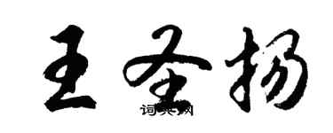 胡問遂王聖揚行書個性簽名怎么寫
