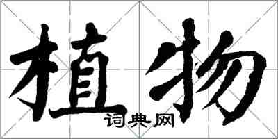 翁闓運植物楷書怎么寫