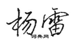 駱恆光楊雷行書個性簽名怎么寫