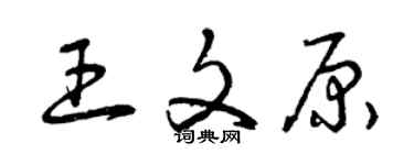 曾慶福王文原草書個性簽名怎么寫