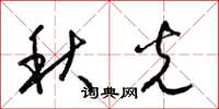 梁錦英秋光草書怎么寫