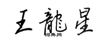 王正良王龍星行書個性簽名怎么寫