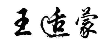 胡問遂王適蒙行書個性簽名怎么寫