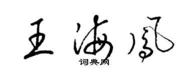 梁錦英王海鳳草書個性簽名怎么寫