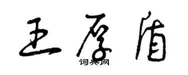 曾慶福王厚盾草書個性簽名怎么寫