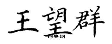 丁謙王望群楷書個性簽名怎么寫