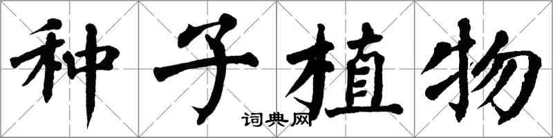 翁闓運種子植物楷書怎么寫