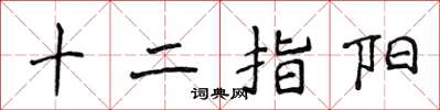 侯登峰十二指陽楷書怎么寫