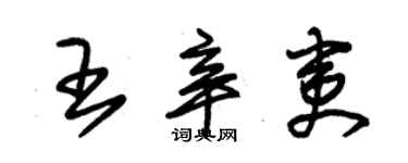 朱錫榮王辛夷草書個性簽名怎么寫