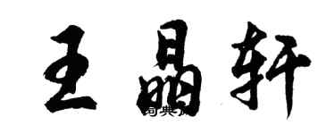 胡問遂王晶軒行書個性簽名怎么寫