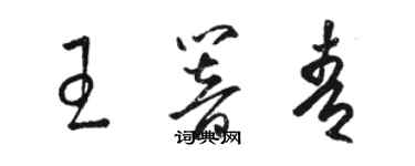 駱恆光王響青草書個性簽名怎么寫