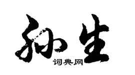 胡問遂孫生行書個性簽名怎么寫
