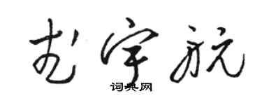 駱恆光武宇航草書個性簽名怎么寫