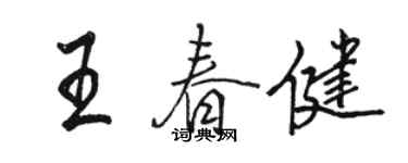 駱恆光王春健行書個性簽名怎么寫