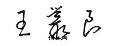 駱恆光王叢良草書個性簽名怎么寫