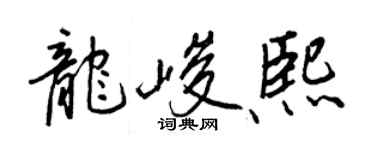 王正良龍峻熙行書個性簽名怎么寫