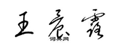 梁錦英王晨露草書個性簽名怎么寫