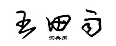 朱錫榮王田雨草書個性簽名怎么寫