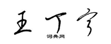 梁錦英王丁寧草書個性簽名怎么寫