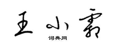 梁錦英王小霜草書個性簽名怎么寫