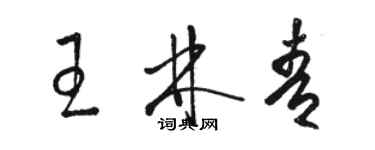 駱恆光王林青草書個性簽名怎么寫