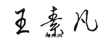 駱恆光王素凡行書個性簽名怎么寫