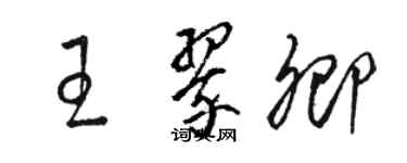 駱恆光王翠卿草書個性簽名怎么寫