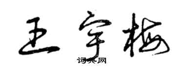 曾慶福王宇梅草書個性簽名怎么寫