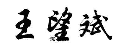 胡問遂王望斌行書個性簽名怎么寫