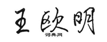 駱恆光王歐明行書個性簽名怎么寫