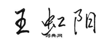 駱恆光王虹陽行書個性簽名怎么寫