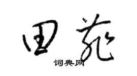 梁錦英田菲草書個性簽名怎么寫