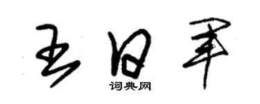 朱錫榮王日軍草書個性簽名怎么寫