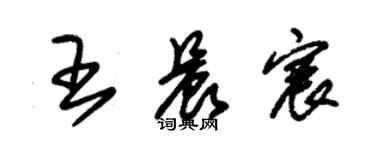 朱錫榮王晨宸草書個性簽名怎么寫