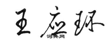 駱恆光王應環行書個性簽名怎么寫