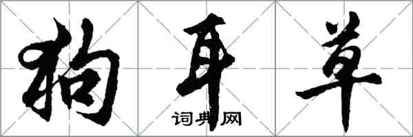 胡問遂狗耳草行書怎么寫