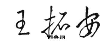 駱恆光王拓安草書個性簽名怎么寫