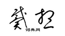 梁錦英戴想草書個性簽名怎么寫