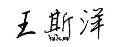 王正良王斯洋行書個性簽名怎么寫